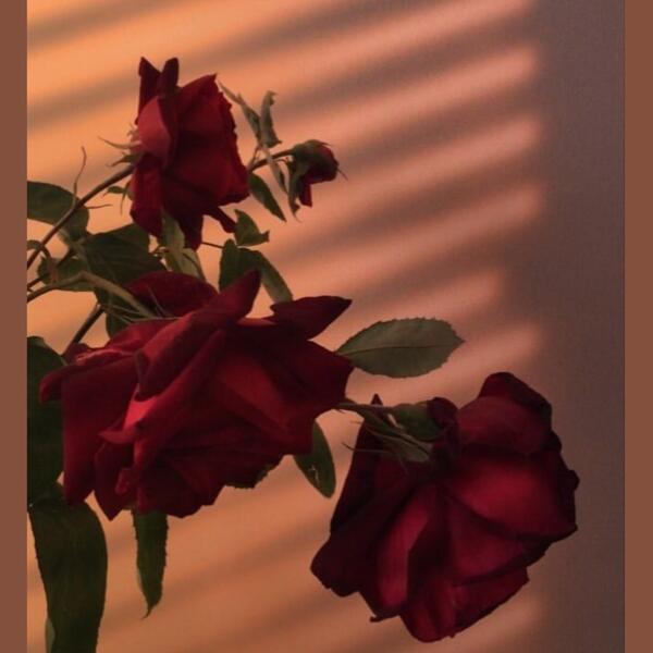 Nail art esempio — unghie curate