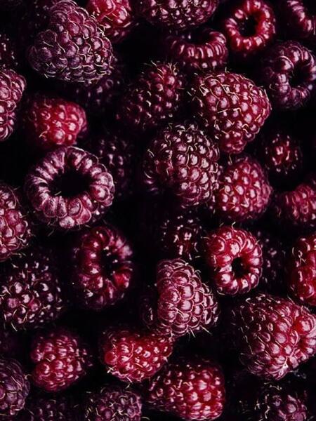 Dettaglio manicure professionale