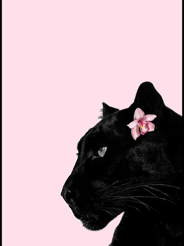 Ricostruzione unghie in gel